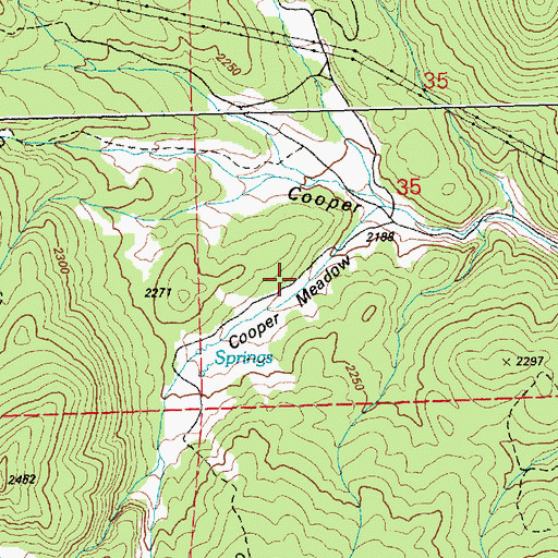 Topographic Map of Cooper Meadow, NV