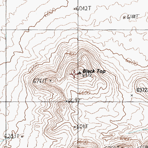 Topographic Map of Black Top, NV