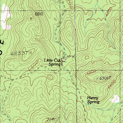 Topographic Map of Little Cut Spring, NV