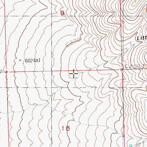 Topographic Map of Little Dry Canyon, NV