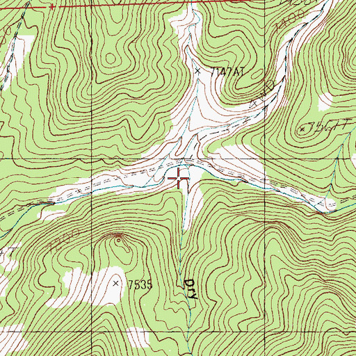 Topographic Map of Dry Canyon, NV