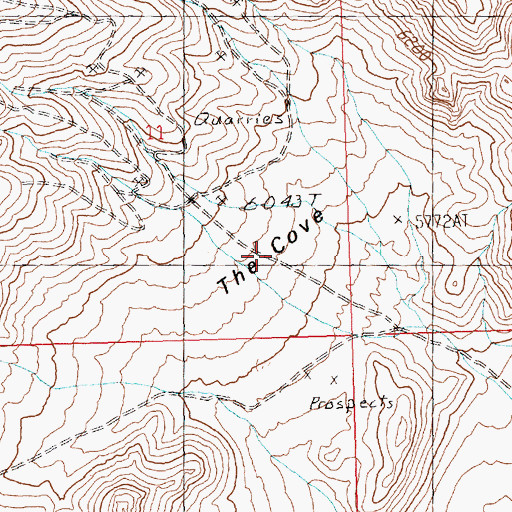 Topographic Map of The Cove, NV