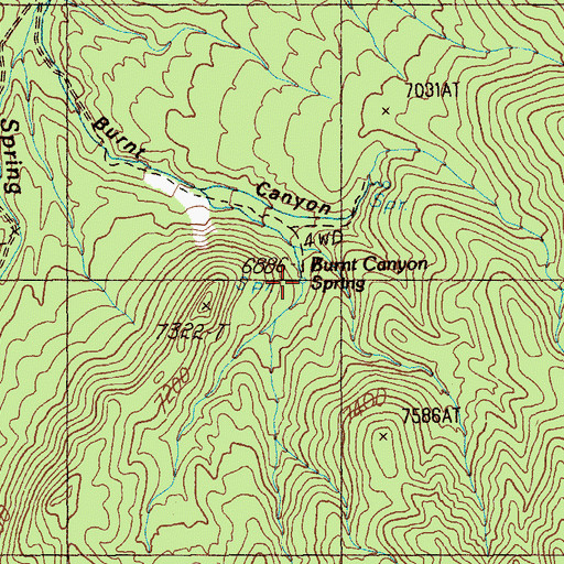 Topographic Map of Burnt Canyon Spring, NV