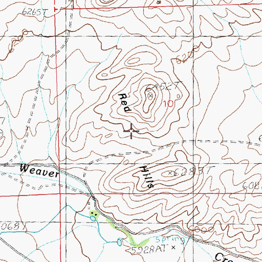 Topographic Map of Red Hills, NV