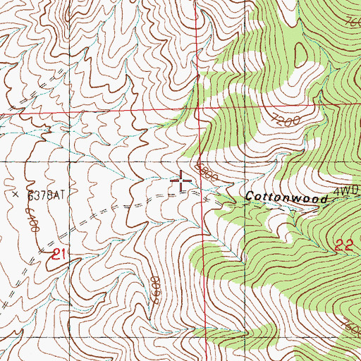 Topographic Map of Cottonwood Canyon, NV