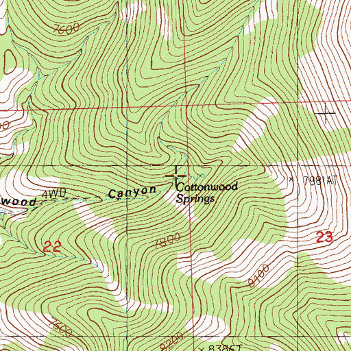 Topographic Map of Cottonwood Springs, NV