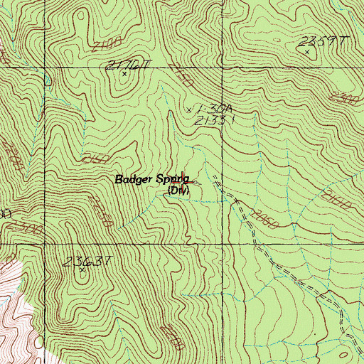Topographic Map of Badger Spring, NV