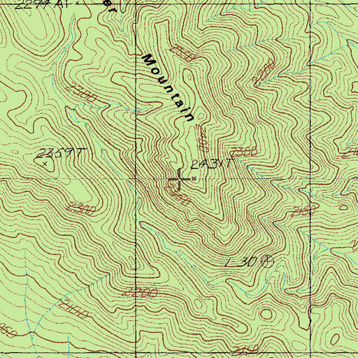 Topographic Map of Badger Mountain, NV