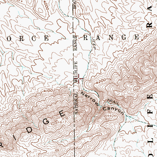 Topographic Map of Narrow Canyon, NV