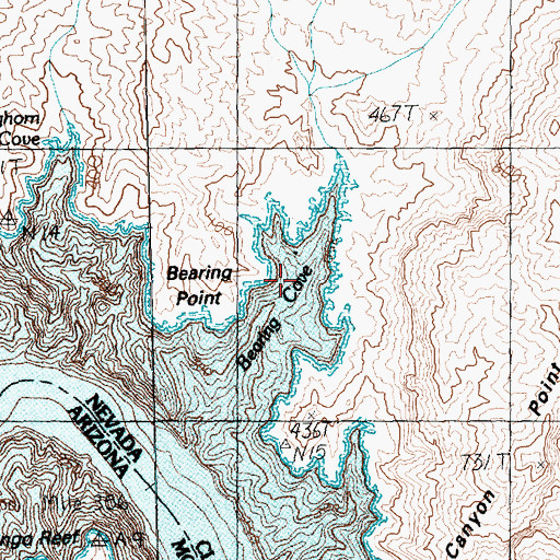 Topographic Map of Bearing Cove, NV