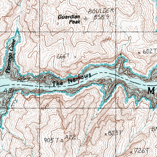 Topographic Map of The Narrows, NV