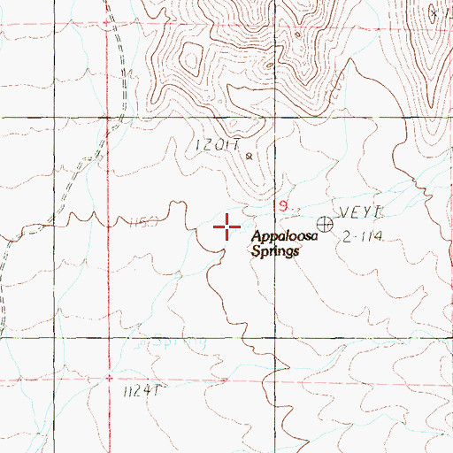 Topographic Map of Appaloosa Springs, NV