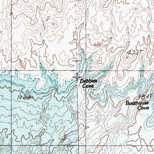 Topographic Map of Debbies Cove, NV