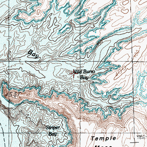 Topographic Map of Wild Burro Bay, NV