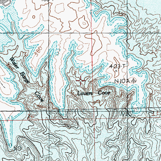 Topographic Map of Lovers Cove, NV