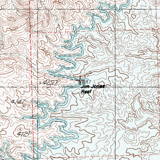 Topographic Map of Jim Jones Reef, NV
