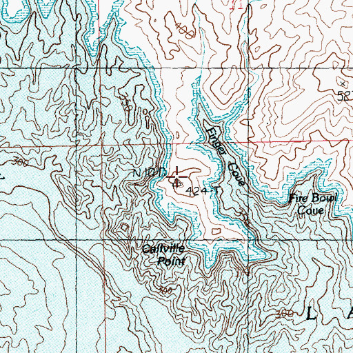 Topographic Map of Callville Point, NV
