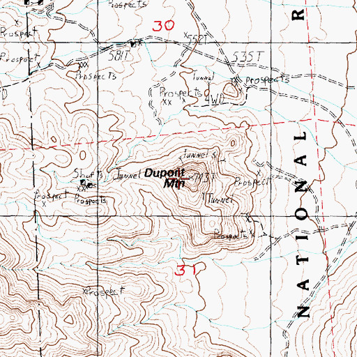 Topographic Map of Dupont Mountain, NV