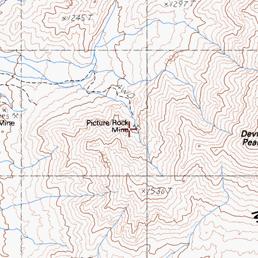 Topographic Map of Picture Rock Mine, NV