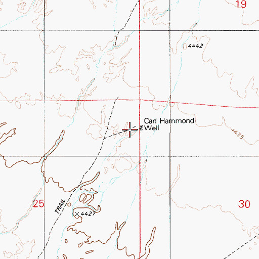 Topographic Map of Carl Hammond Well, NV