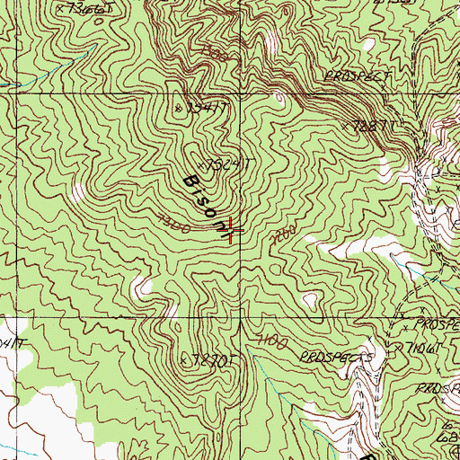 Topographic Map of Bisoni Ridge, NV