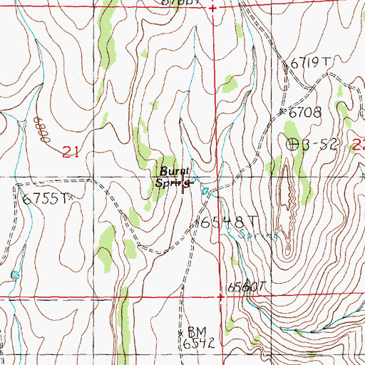 Topographic Map of Burnt Creek Spring, NV