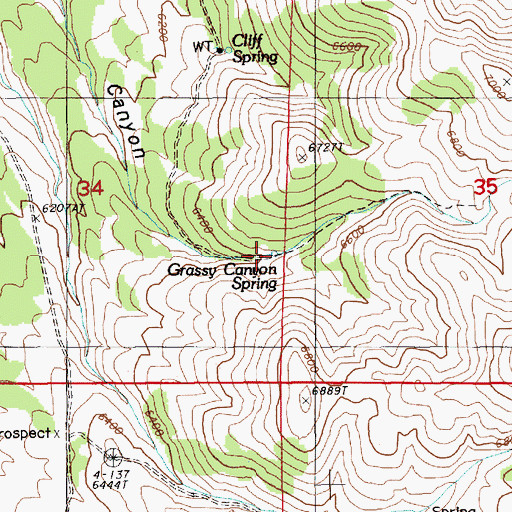 Topographic Map of Grassy Canyon Spring, NV