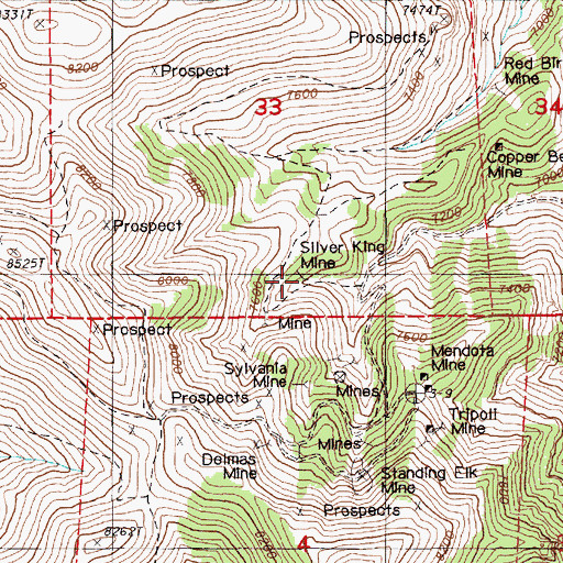 Topographic Map of Silver King Mine, NV