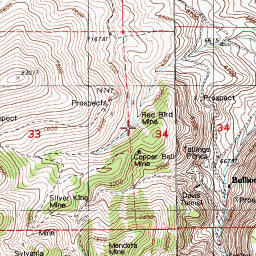 Topographic Map of Red Bird Mine, NV