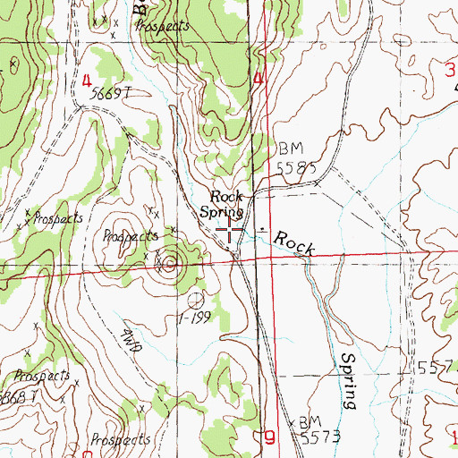 Topographic Map of Rock Springs Cow Camp, NV