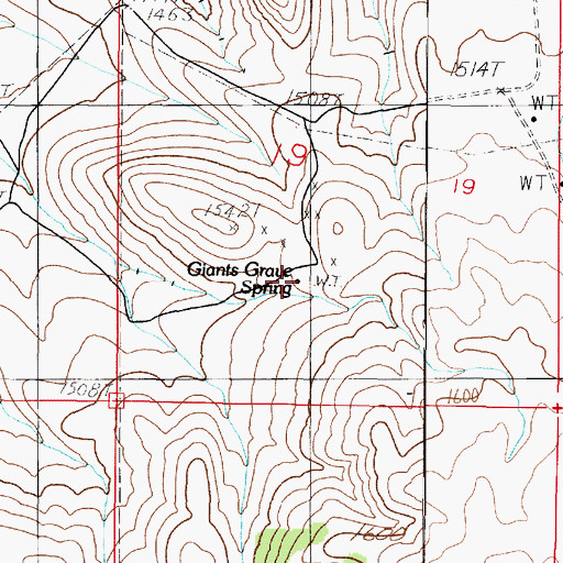 Topographic Map of Giants Grave Spring, NV