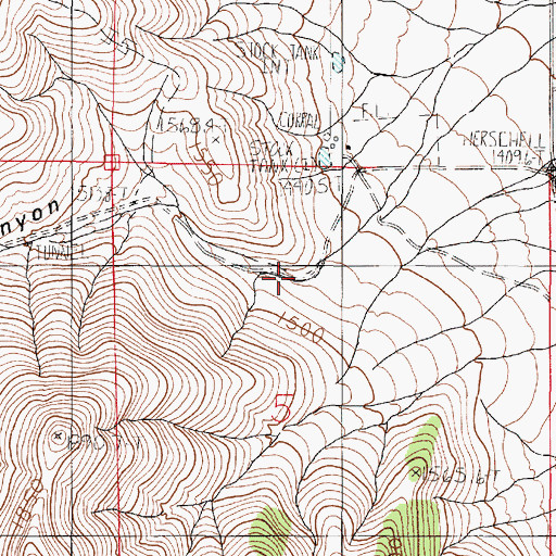 Topographic Map of Badger Canyon, NV