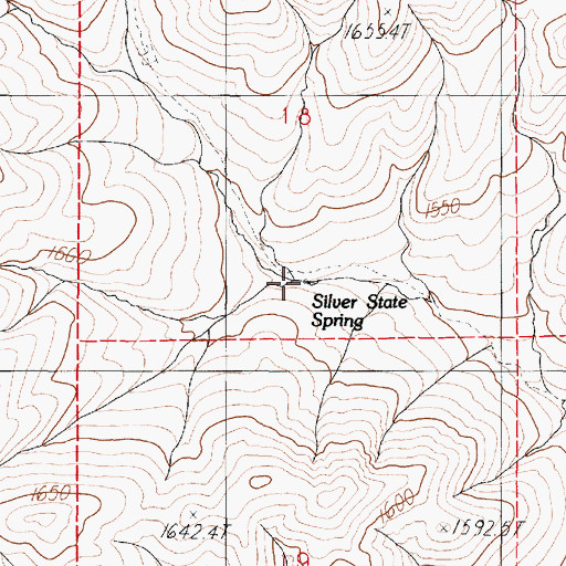 Topographic Map of Silver State Spring, NV