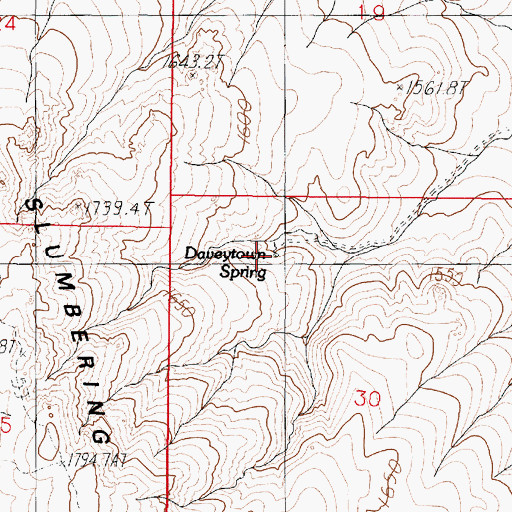 Topographic Map of Daveytown Spring, NV