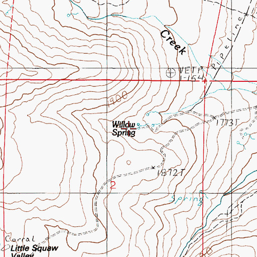 Topographic Map of Willow Spring, NV