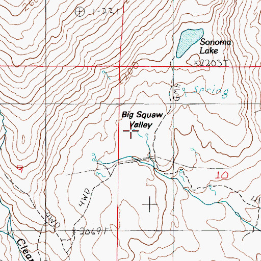 Topographic Map of Big Squaw Valley, NV