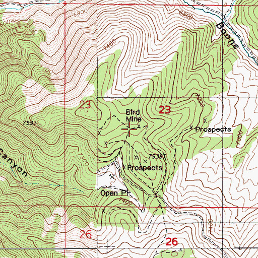 Topographic Map of Bird Mine, NV