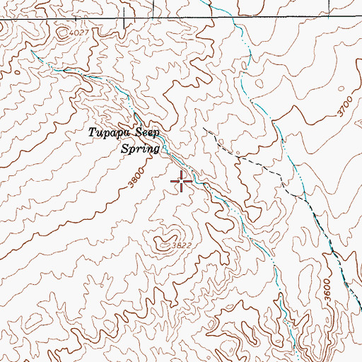 Topographic Map of Tupapa Seep, NV