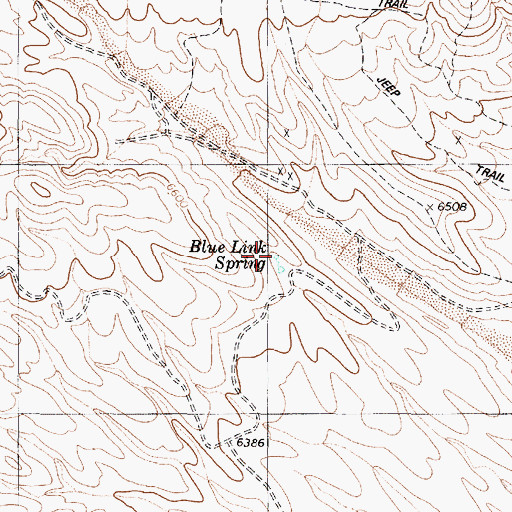 Topographic Map of Blue Link Spring, NV