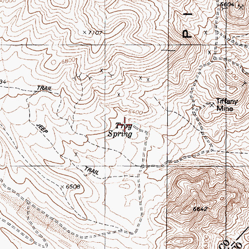 Topographic Map of Troy Spring, NV