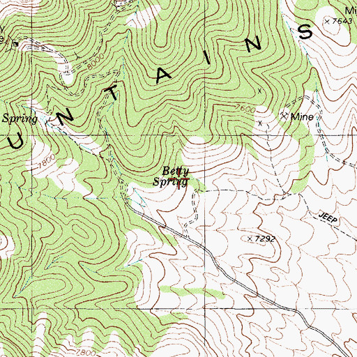 Topographic Map of Betty Spring, NV