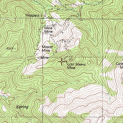Topographic Map of Lost Steers Mine, NV