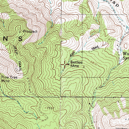 Topographic Map of Bettles Mine, NV