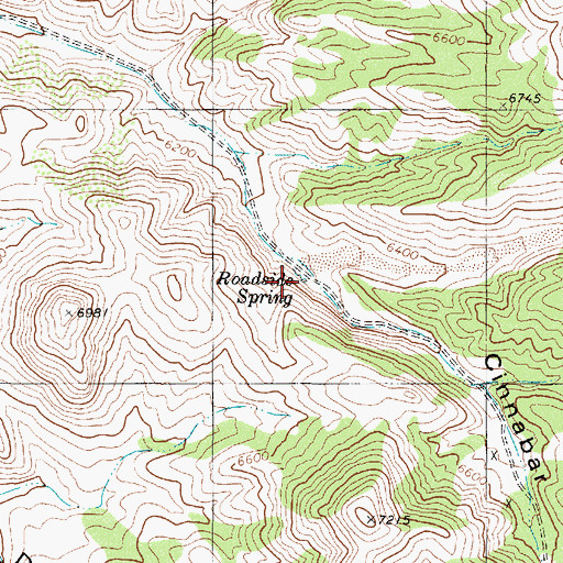 Topographic Map of Roadside Spring, NV