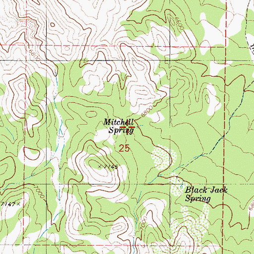 Topographic Map of Mitchell Spring, NV