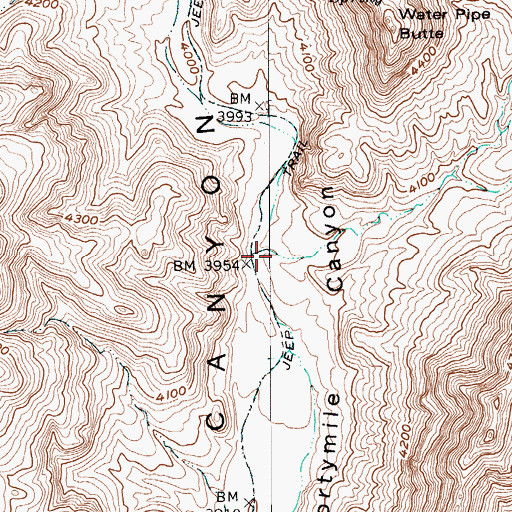 Topographic Map of Pah Canyon, NV