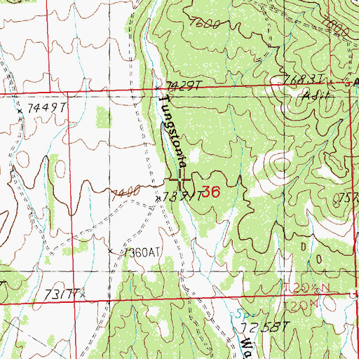 Topographic Map of Sims Canyon, NV
