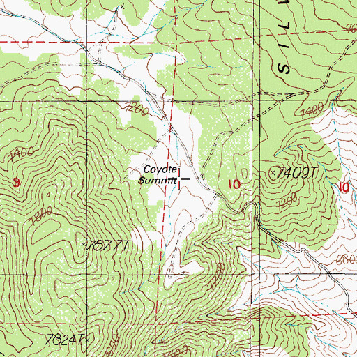 Topographic Map of Coyote Summit, NV