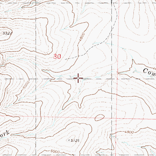 Topographic Map of North Fork Cow Creek, NV