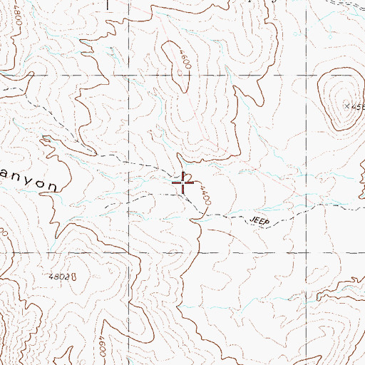 Topographic Map of Petrified Canyon, NV